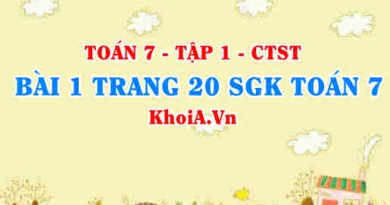 Bài 1 trang 20 SGK Toán 7 tập 1 Chân trời sáng tạo